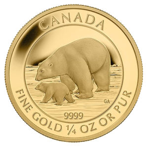 Gold-Polar-Bear-BACK